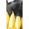 Energolux Brissago CPW 800